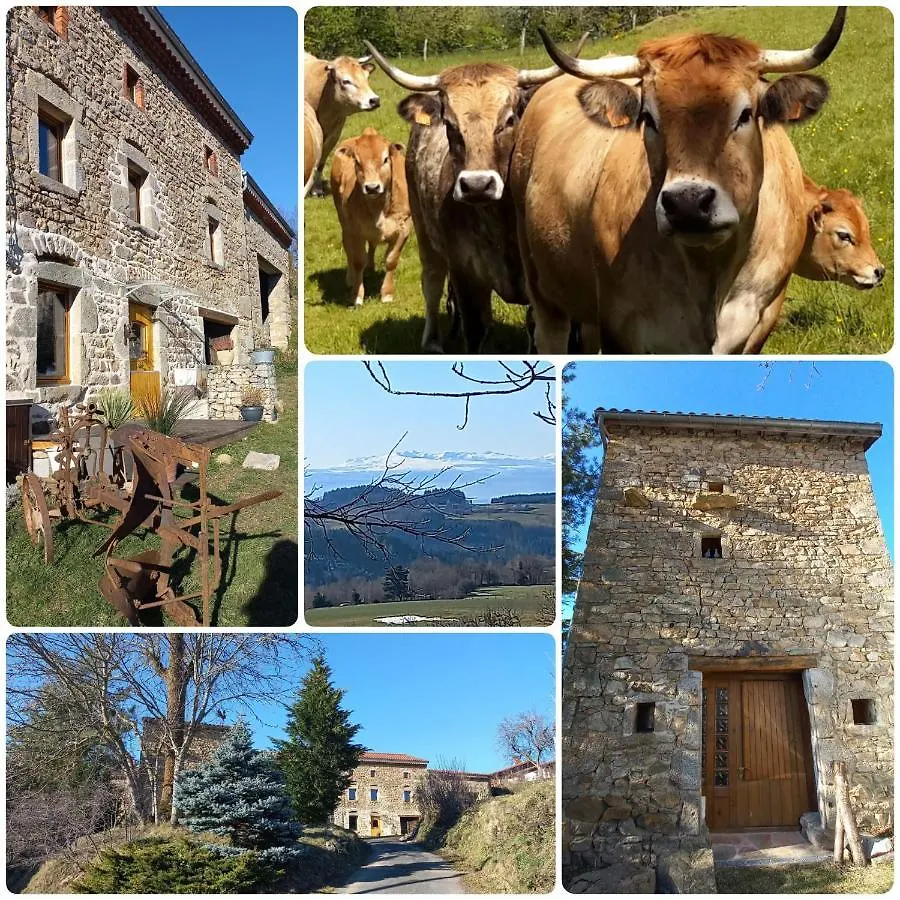 La Roucoule Villa Le Sapt
