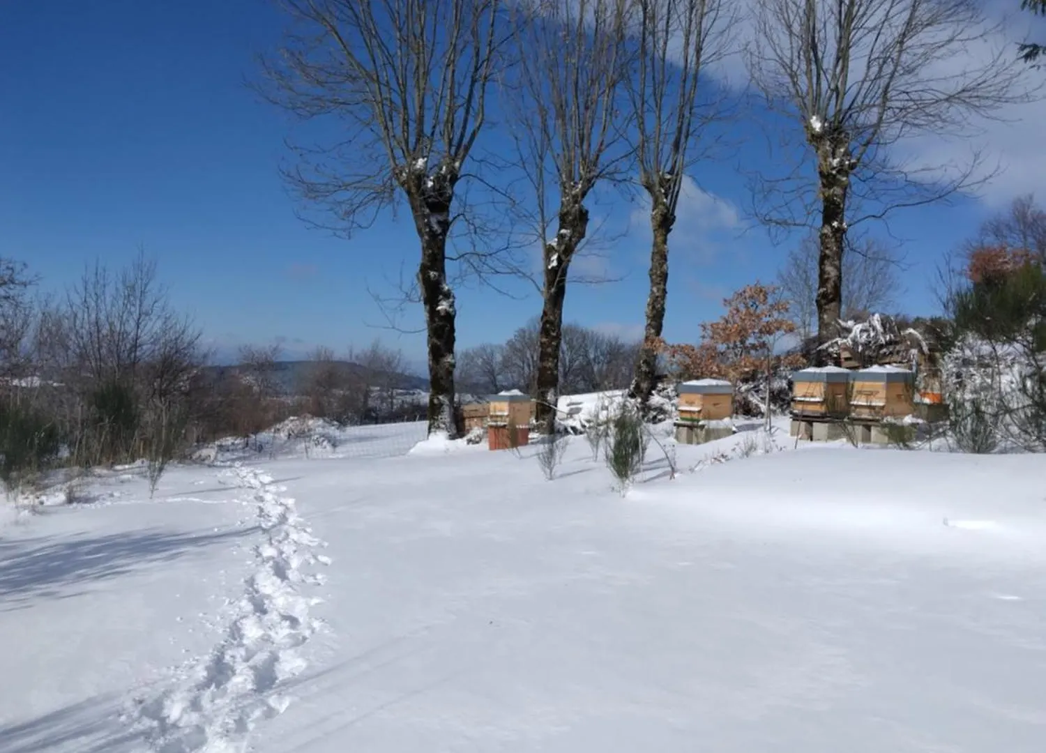 Сasa de vacaciones Villa La Roucoule Le Sapt Francia